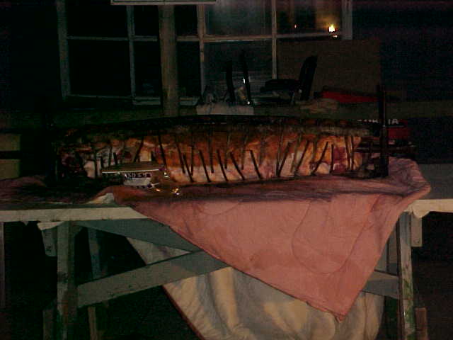 memorial day 2005.JPG